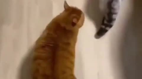 OMG 😍😍