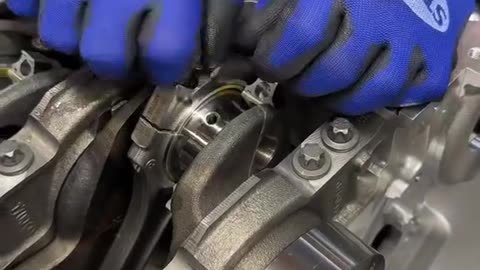AMH V8 ASMR