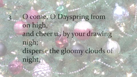 Worship From Mt. Olive Ev. Lutheran Church