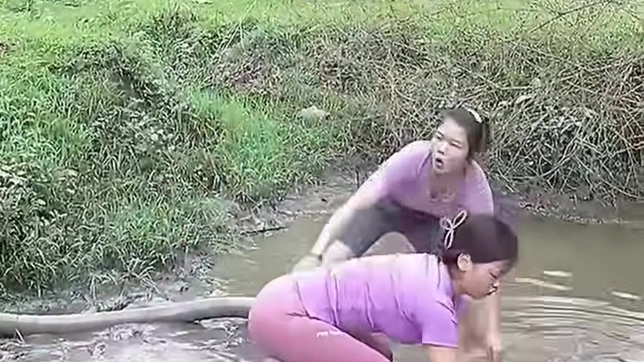 Two beautiful village girl working for catching fish from pool.