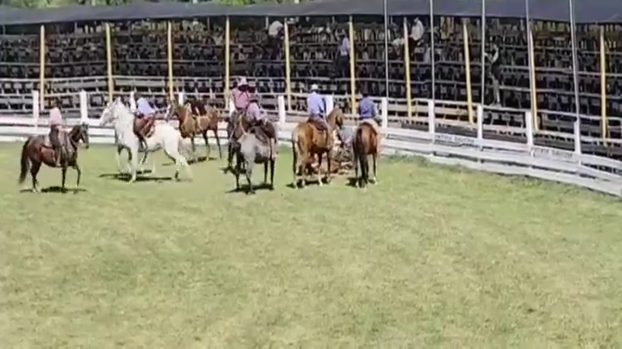 1era. Parte de la Actividades en el Ruedo - Patria Gaucha 2025 - Tacuarembó, tarde del 20 de marzo