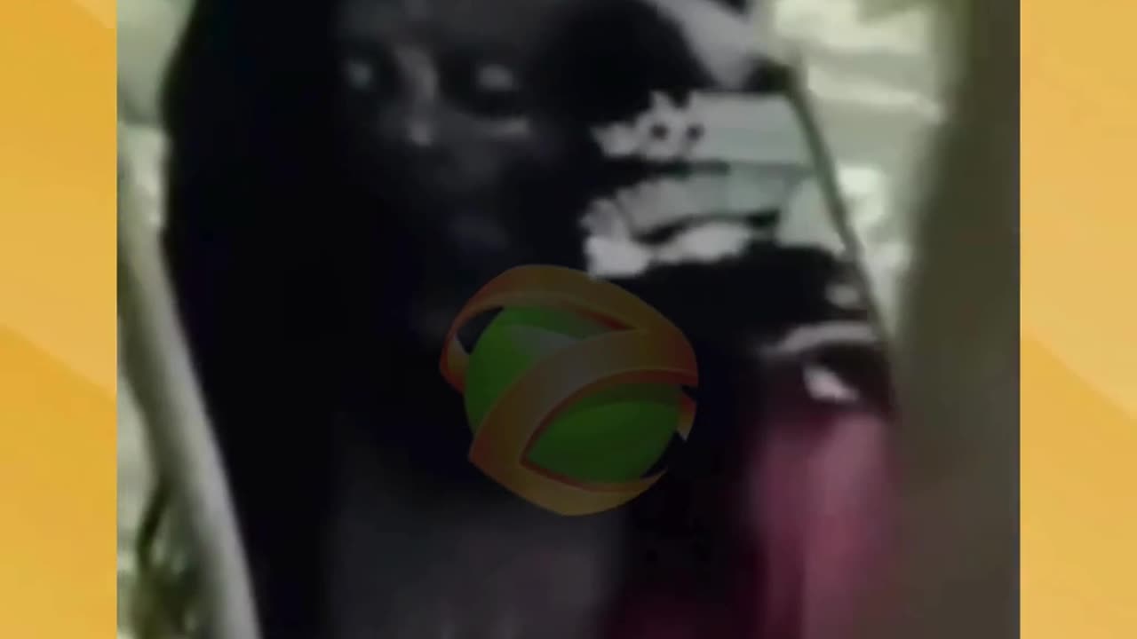 Inhuman or otherworldly?These caught-on-camera beings defy explanation.👇