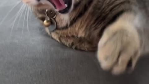 fun