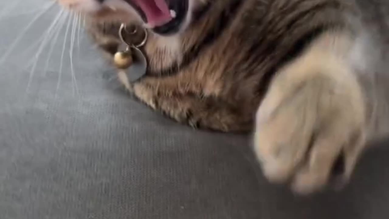 fun