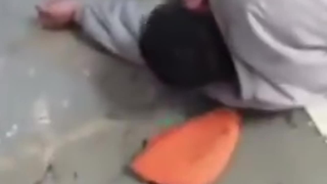 ANOTHER PRISON VIDEO Niggers smuggled in drugs or something