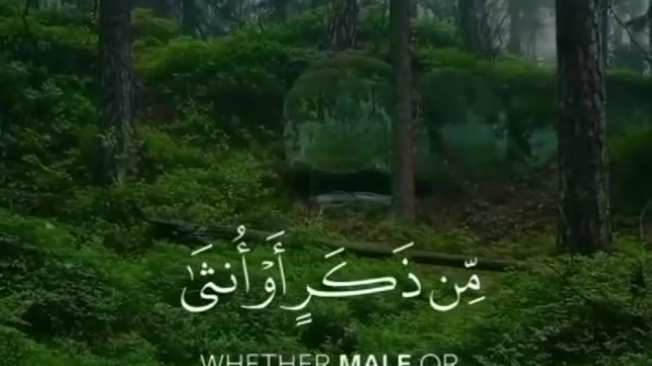 Beshak 💯♥️✨🕊️