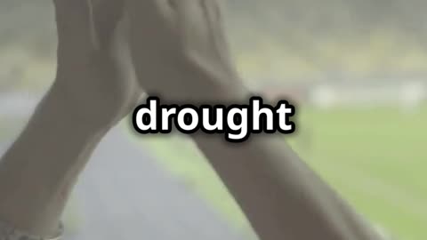 Viktor Gyökeres målskytt för Arsenal