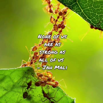 Daily Affirmations 19