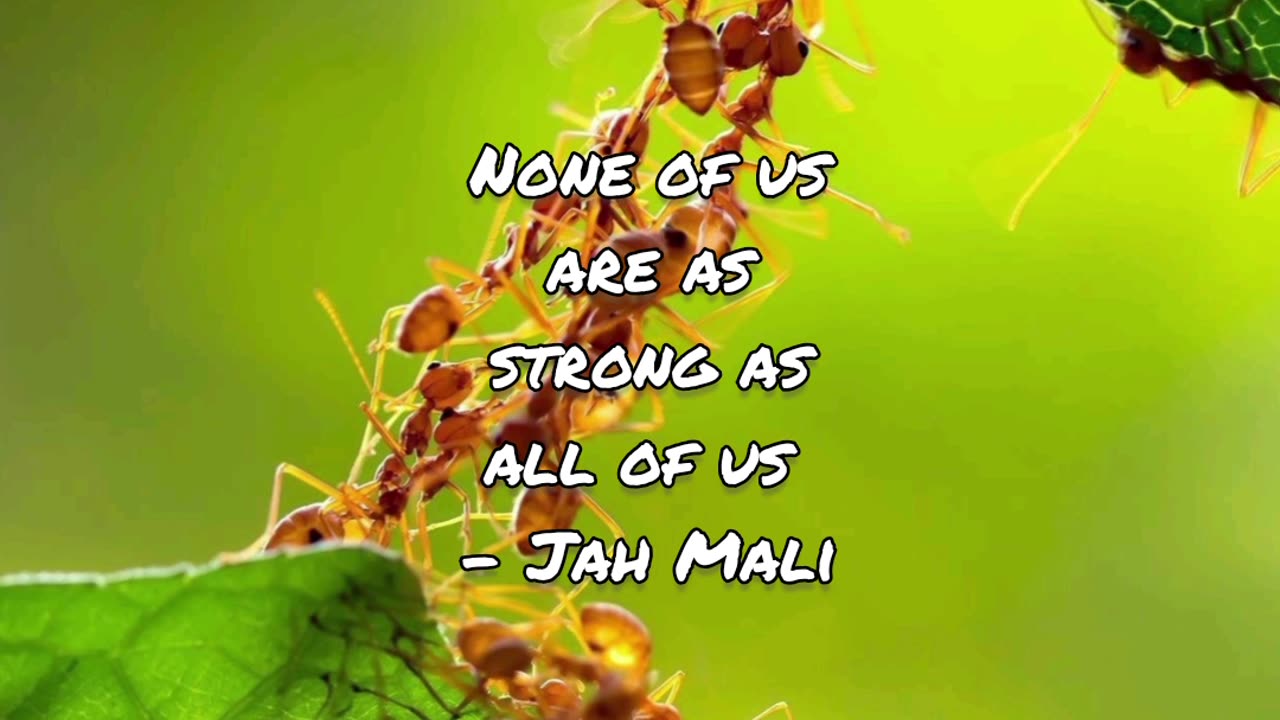 Daily Affirmations 19