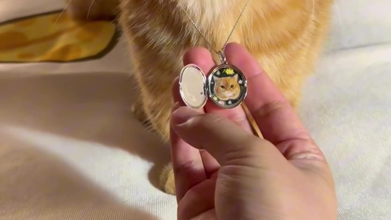 📹 Trending Chinese Viral Videos | Funny, Emotional & Shocking Moments