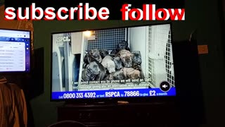 #RSPCA , during, #covid ,more people got pets, an