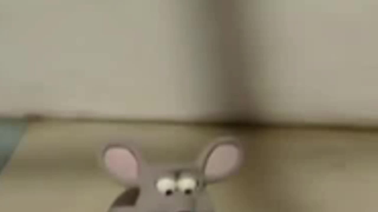 Mouse is eating🫠