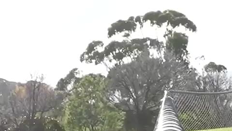 How animals get over a fence (part 2)