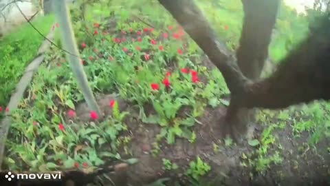 Ukrainians Bail From Car to Avoid Incoming Drone, Before Jumping Right Back in