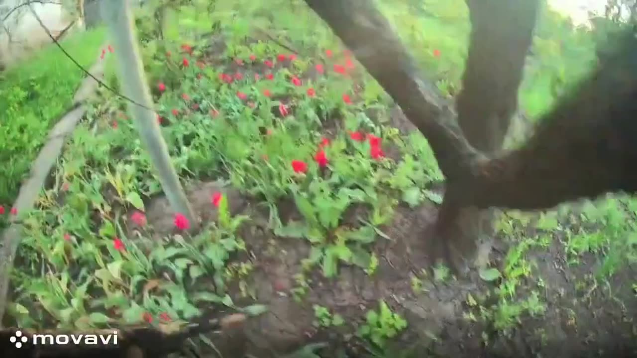 Ukrainians Bail From Car to Avoid Incoming Drone, Before Jumping Right Back in