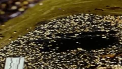Forensic Files - Season 5, Episode 4 - A Voice from Beyond - Full Episode