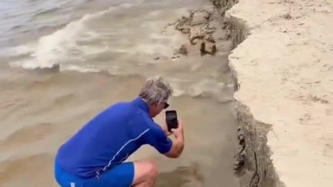 Beach Erosion or Optical Trick? 🤯
