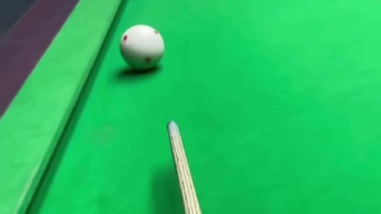 helpfull cats