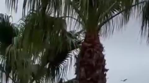 Jet us militry for videos