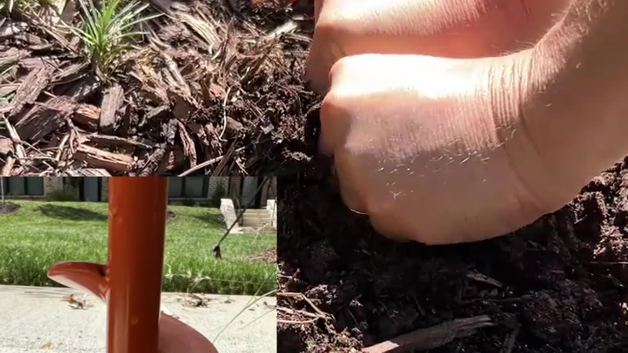 Honey-Do List CRUSHER! Planting 100 Bulbs in 15 Mins with This Tool