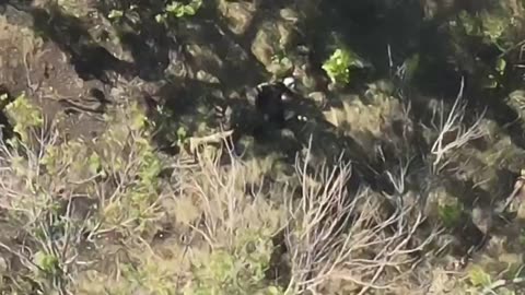 Ukraine war combat footage /related 11/13/2025