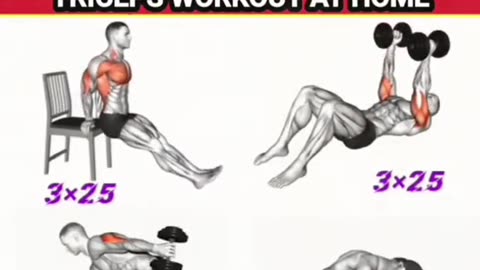 Best Triceps Workout You Can Do at the Gym 💪🔥