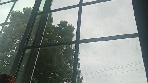 5/30/2025 pt 1