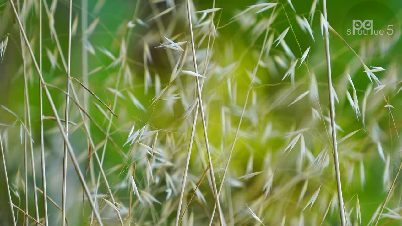 7 OVNIS qui ont fait DOUTER les PLUS SCEPTIQUES