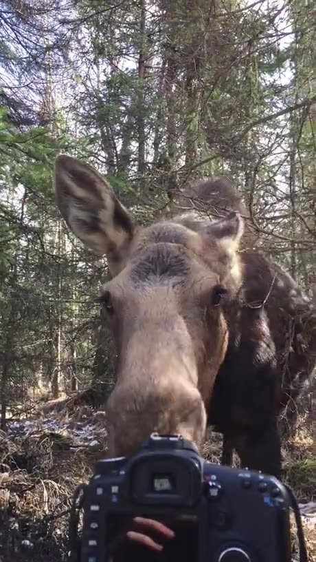 She's so gentle☺️