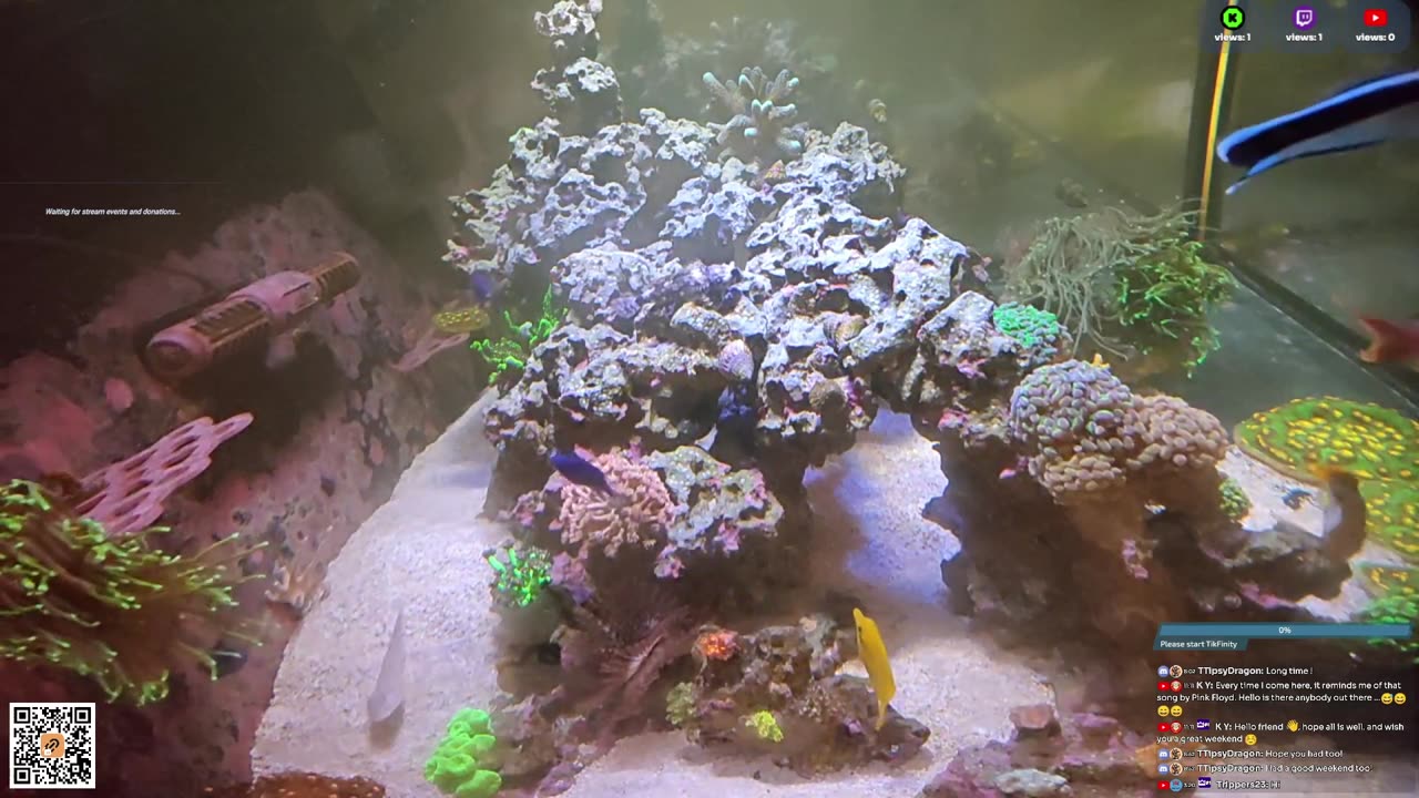 24/7 Real Live Reef Stream