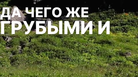 Почему мы забываем быть благодарными родителям