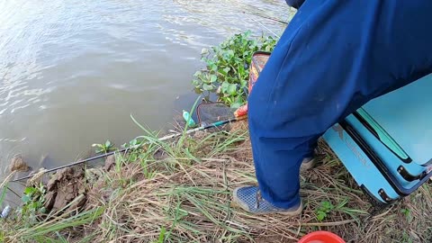 Gar Trolling in River Backwaters