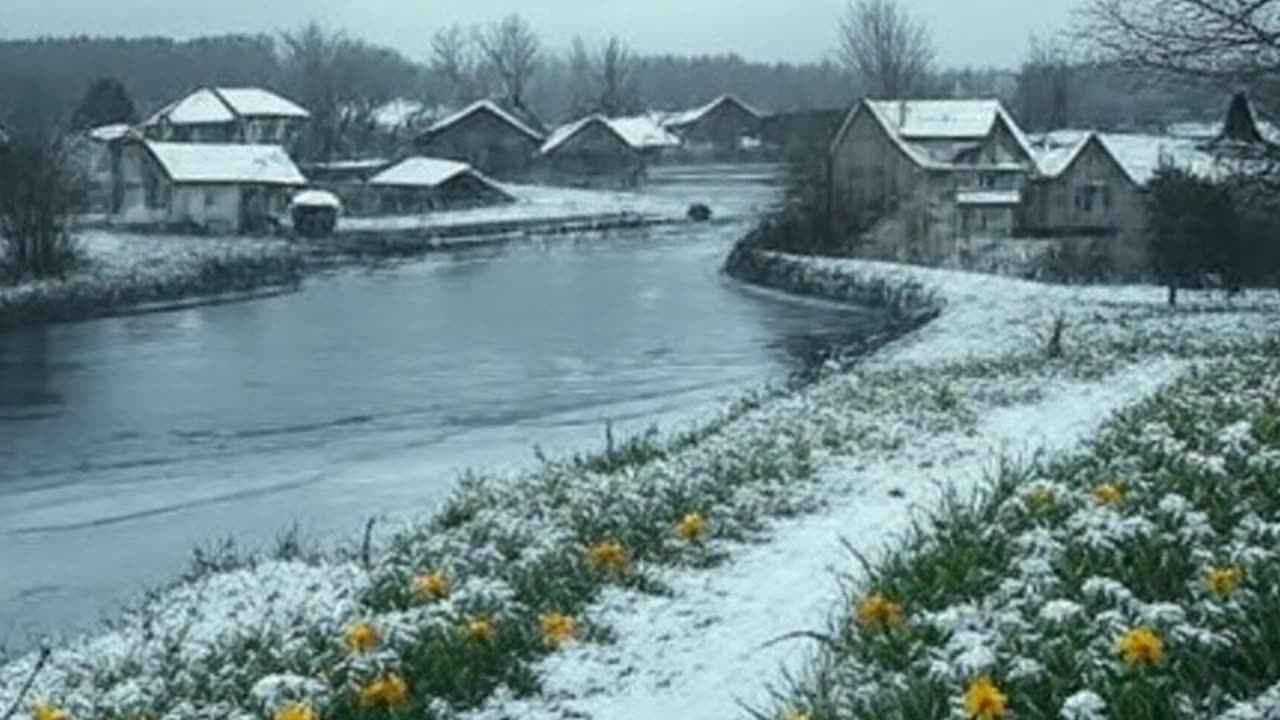 Nagły powrót zimy: śnieg i mróz zaskoczą Polskę!