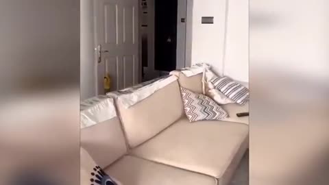 TRY NOT TO LAUGH 😆 Best Funny Videos Compilation 😂😁😆 Memes.