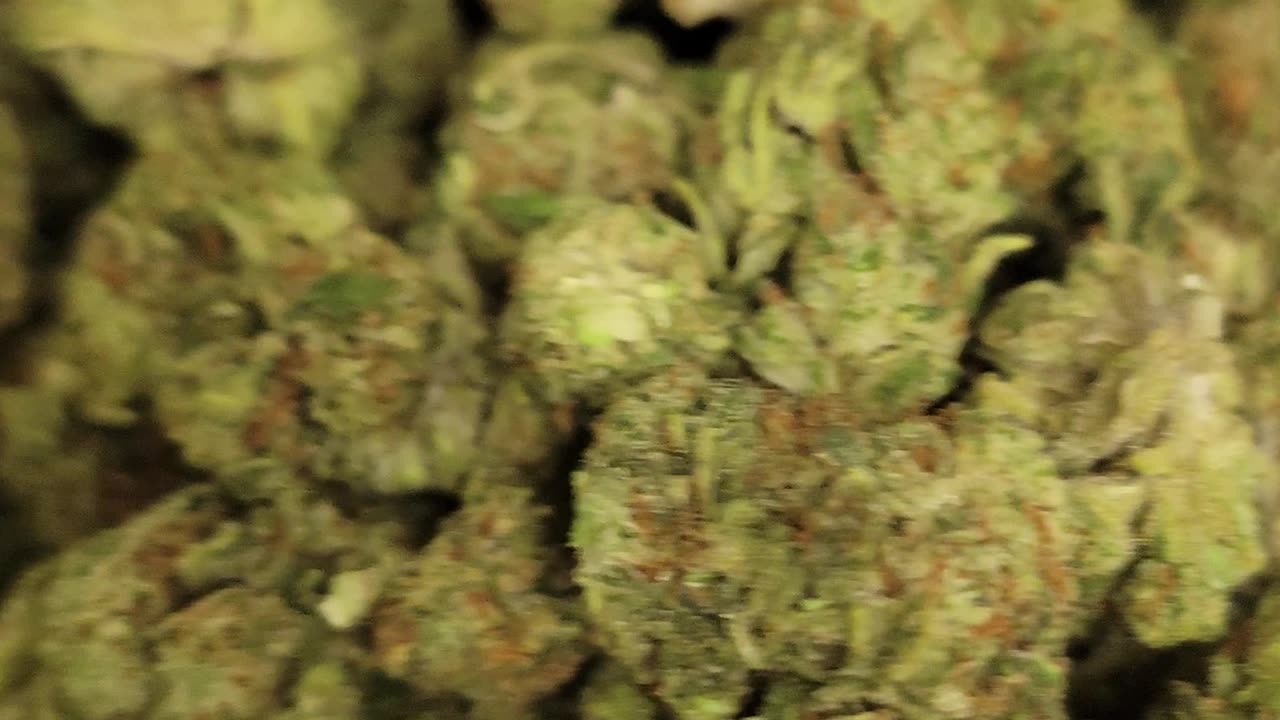 Ounces of THC Flower Sour Kush