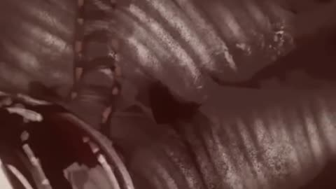 TOP 5 SCARIEST JUMPSCARES ....DONT JUMP