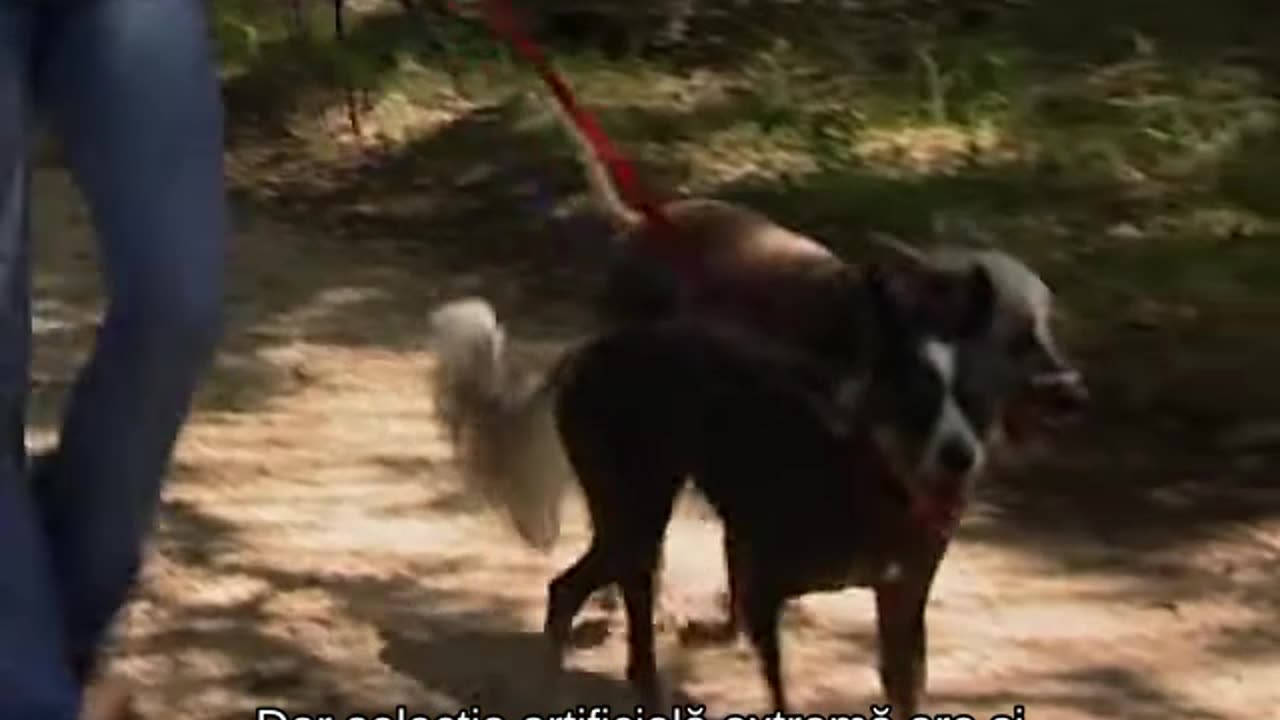 Mutațiile genetice: Știința supraviețuirii