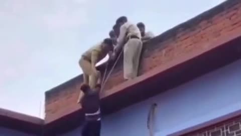 Good Cops or Bad Cops