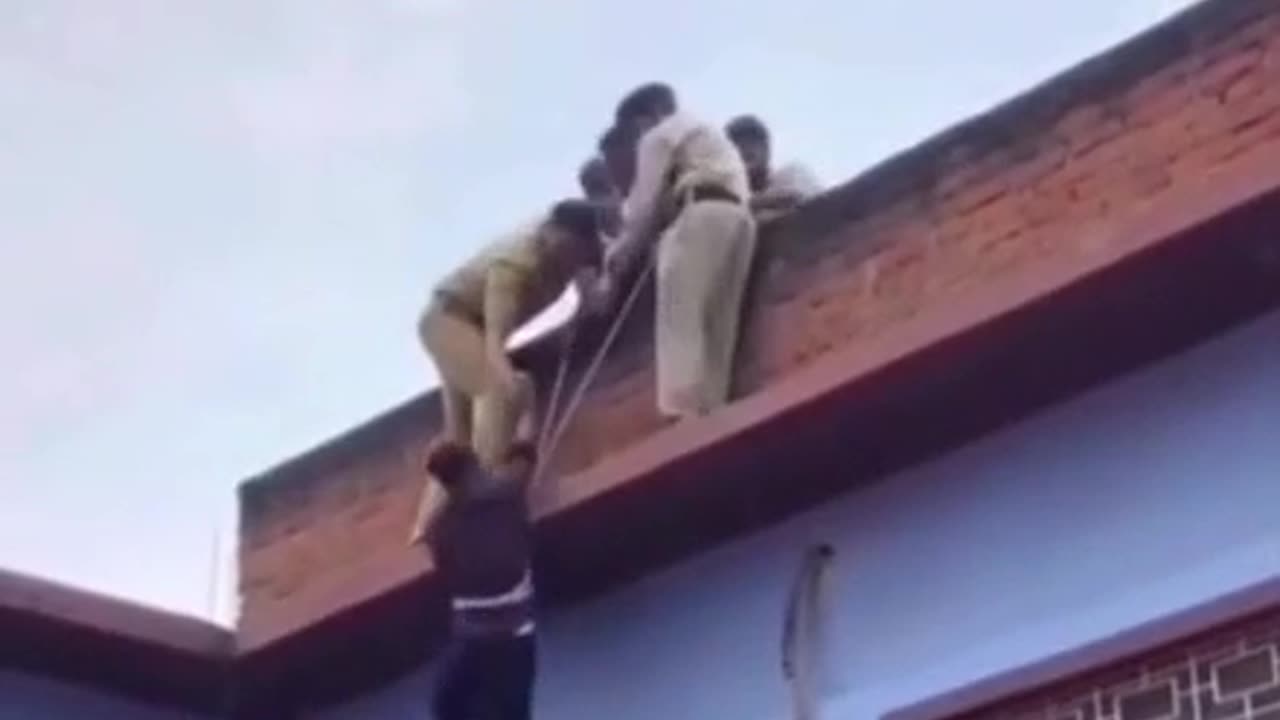 Good Cops or Bad Cops