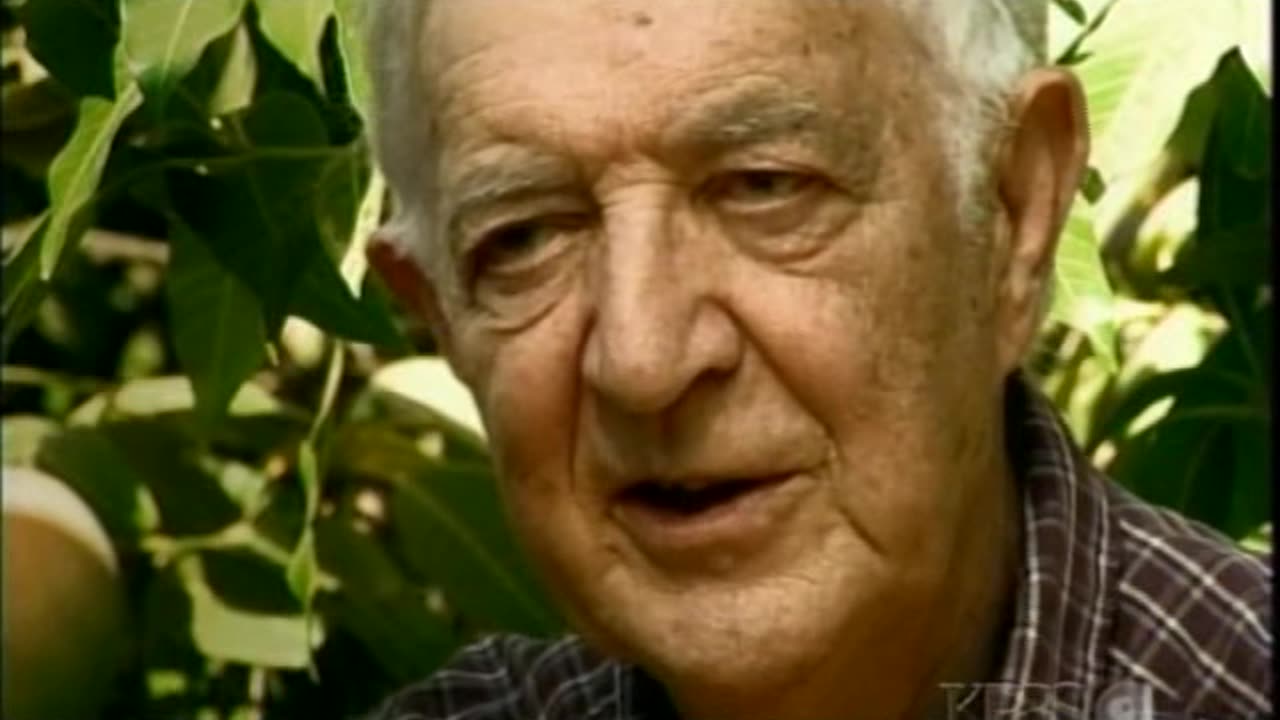 global dimming - warming - overpopulation