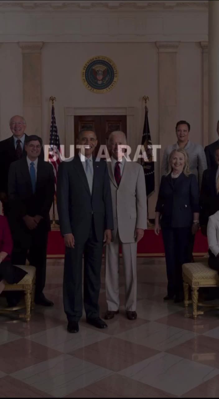 How do you tell the difference between a snitch and a RAT?