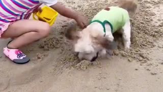 😂🌊 A Fun Day at the Beach! | FunFM
