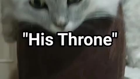 👑 **"His Throne: The King of the Bedside"** 👑