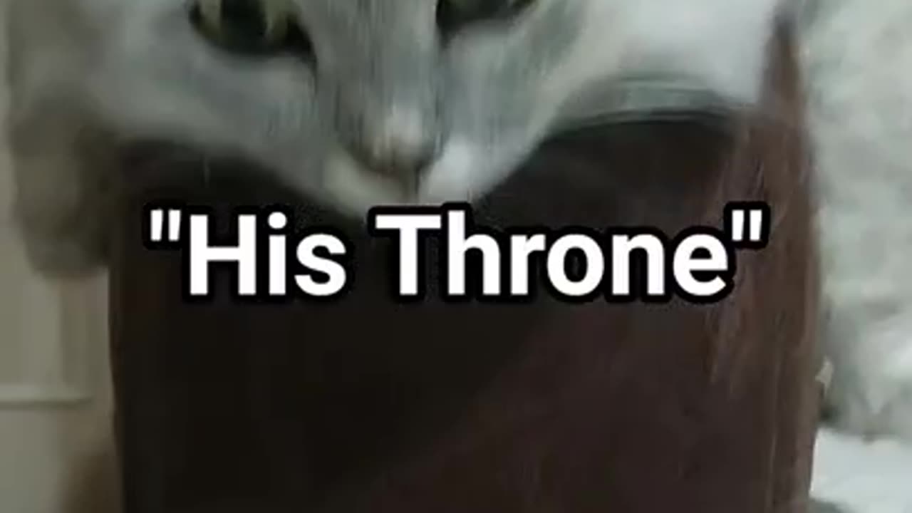 👑 **"His Throne: The King of the Bedside"** 👑