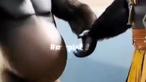 cute monkeys