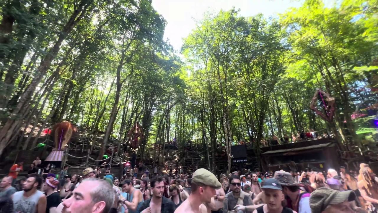 Aardvarkk in Modem Festival 2024