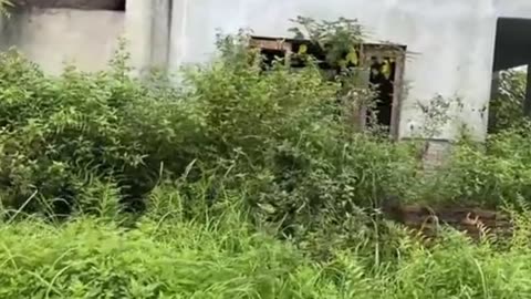 Enjoy the work of clearing weeds and such PART 1