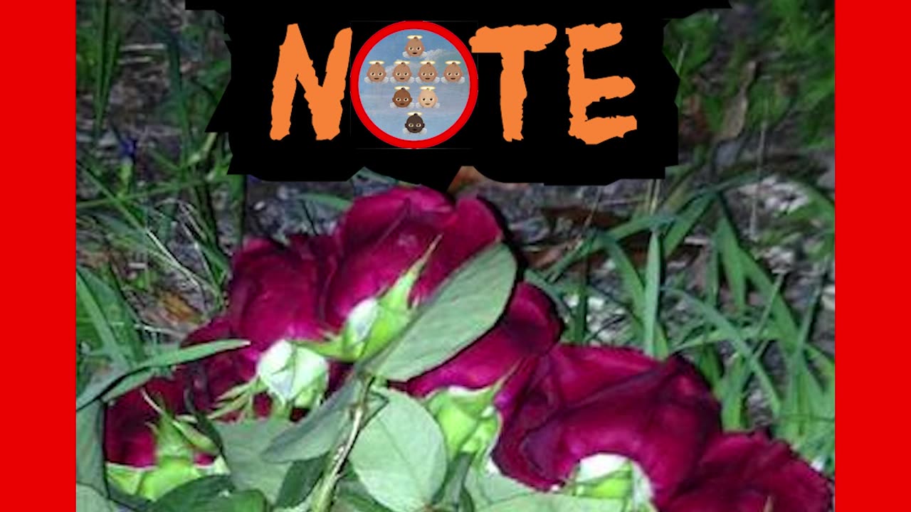 TREVOR’S DEATH NOTE 1:1 to 1:2