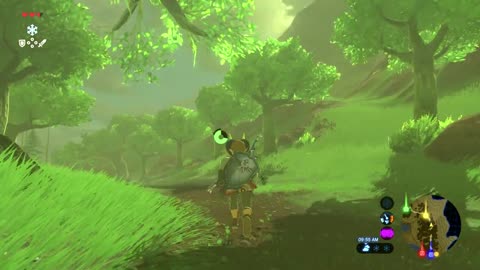 Path Through the Lost Woods – Zelda: Breath of the Wild Guide