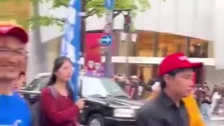 Japanese citizens celebrates President Donald Trump's visit to Japan